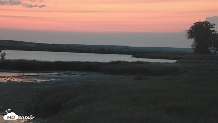 American Prairie Montana Bison Live Cam - Aug 24, 2026, 5:55am MDT