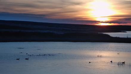 American Prairie Montana Bison Live Cam - Apr 7, 2026, 6:45am MDT