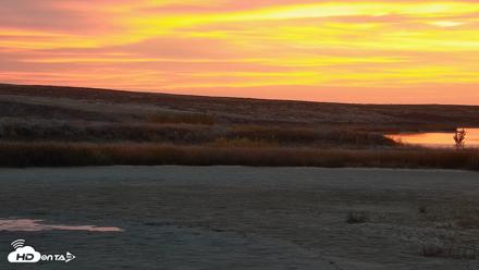 American Prairie Montana Bison Live Cam - Oct 10, 2026, 7:14am MDT