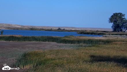 American Prairie Montana Bison Live Cam - Sep 18, 2026, 5:02pm MDT