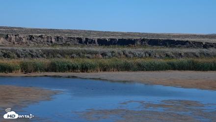 American Prairie Montana Bison Live Cam - Sep 22, 2026, 12:27pm MDT