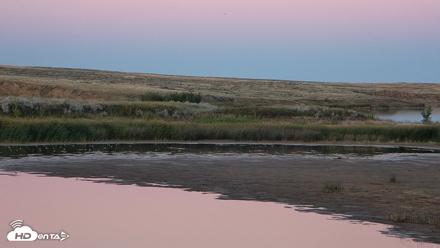 American Prairie Montana Bison Live Cam - Aug 31, 2026, 7:59pm MDT