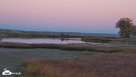 American Prairie Montana Bison Live Cam - Oct 15, 2026, 6:24pm MDT