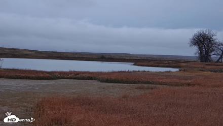 American Prairie Montana Bison Live Cam - Oct 27, 2026, 10:29am MDT