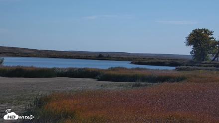 American Prairie Montana Bison Live Cam - Oct 6, 2026, 10:20am MDT