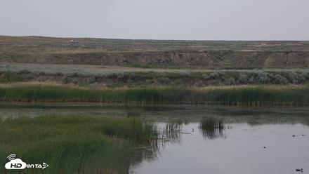 American Prairie Montana Bison Live Cam - Jul 30, 2026, 6:41am MDT