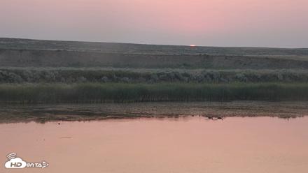American Prairie Montana Bison Live Cam - Aug 1, 2026, 5:54am MDT