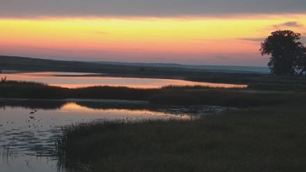 American Prairie Montana Bison Live Cam - Sep 12, 2025, 6:27am MDT
