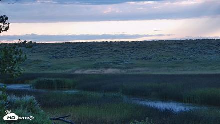 American Prairie Montana Bison Live Cam - Jun 22, 2026, 5:34am MDT