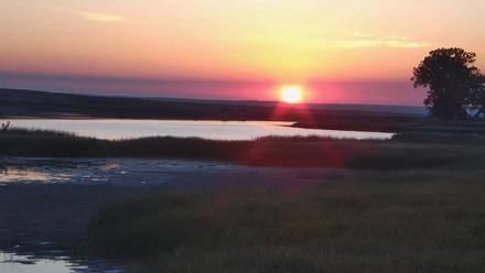 American Prairie Montana Bison Live Cam - Sep 27, 2025, 7:11am MDT