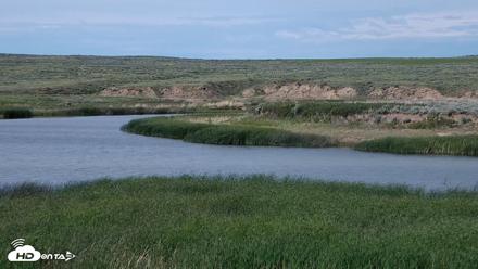 American Prairie Montana Bison Live Cam - Jun 9, 2026, 5:06pm MDT