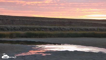 American Prairie Montana Bison Live Cam - Sep 30, 2026, 7:07am MDT