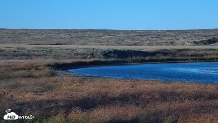 American Prairie Montana Bison Live Cam - Oct 15, 2026, 5:27pm MDT