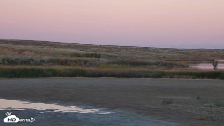 American Prairie Montana Bison Live Cam - Sep 28, 2026, 6:53pm MDT