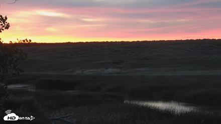 American Prairie Montana Bison Live Cam - Jun 13, 2026, 9:43pm MDT