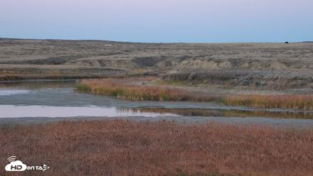 American Prairie Montana Bison Live Cam - Oct 18, 2026, 6:23pm MDT