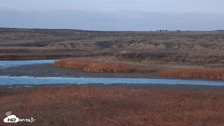 American Prairie Montana Bison Live Cam - Oct 28, 2026, 5:07pm MDT