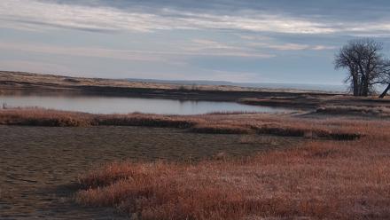 American Prairie Montana Bison Live Cam - Nov 16, 2025, 8:41am MST