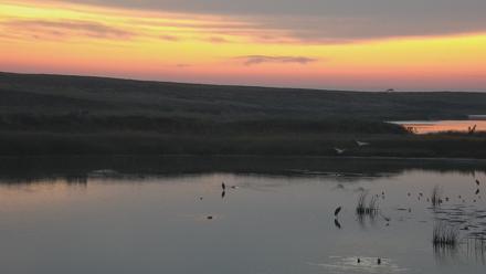 American Prairie Montana Bison Live Cam - Sep 12, 2025, 6:28am MDT