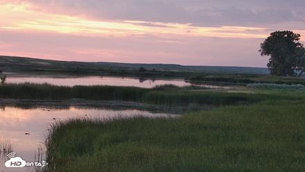 American Prairie Montana Bison Live Cam - Jul 18, 2026, 5:49am MDT