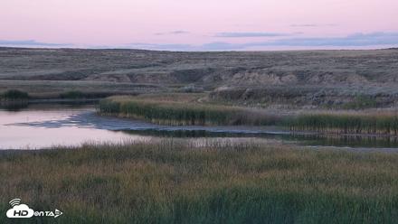 American Prairie Montana Bison Live Cam - Sep 21, 2026, 7:11pm MDT