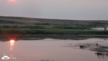 American Prairie Montana Bison Live Cam - Aug 7, 2026, 6:21am MDT