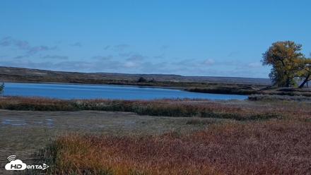 American Prairie Montana Bison Live Cam - Oct 13, 2026, 12:08pm MDT