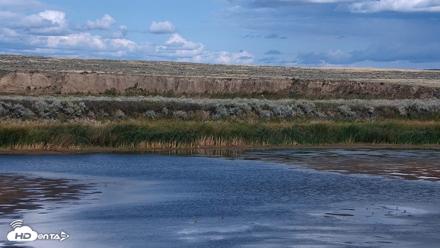 American Prairie Montana Bison Live Cam - Sep 11, 2026, 3:33pm MDT