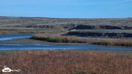 American Prairie Montana Bison Live Cam - Oct 16, 2026, 10:09am MDT
