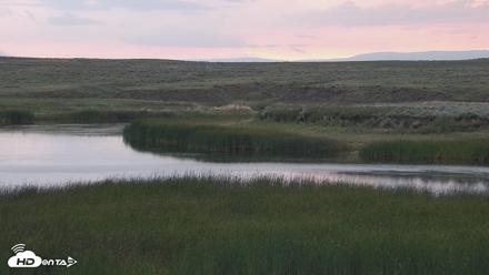 American Prairie Montana Bison Live Cam - Jun 27, 2026, 5:36am MDT