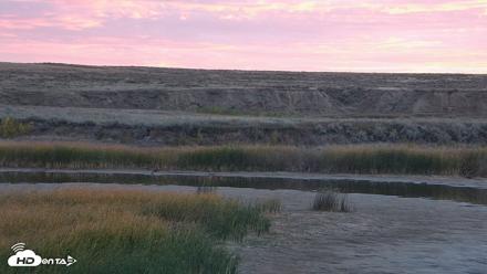 American Prairie Montana Bison Live Cam - Sep 30, 2026, 7:06am MDT