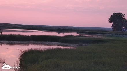 American Prairie Montana Bison Live Cam - Jul 19, 2026, 5:51am MDT