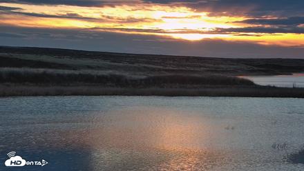 American Prairie Montana Bison Live Cam - Apr 12, 2026, 6:36am MDT