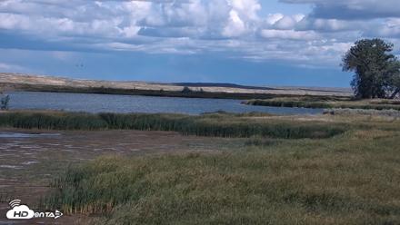 American Prairie Montana Bison Live Cam - Sep 11, 2026, 3:37pm MDT