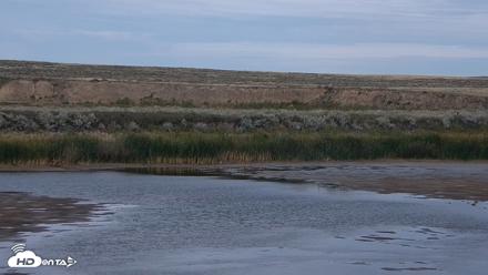 American Prairie Montana Bison Live Cam - Sep 15, 2026, 5:24pm MDT