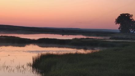 American Prairie Montana Bison Live Cam - Jul 24, 2025, 5:25am MDT