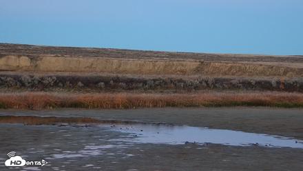American Prairie Montana Bison Live Cam - Oct 24, 2026, 6:13pm MDT