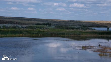 American Prairie Montana Bison Live Cam - Aug 15, 2026, 3:46pm MDT