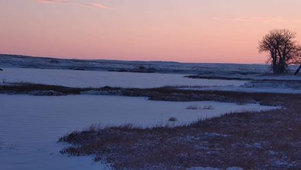 American Prairie Montana Bison Live Cam - Dec 13, 2025, 7:55am MST