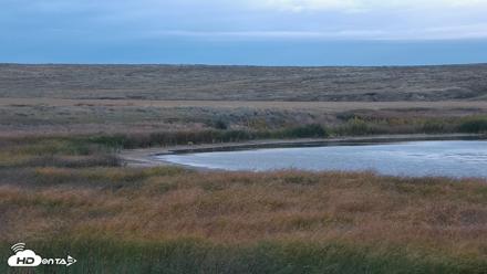 American Prairie Montana Bison Live Cam - Sep 30, 2026, 8:54am MDT