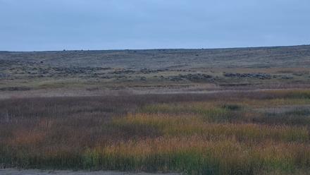 American Prairie Montana Bison Live Cam - Oct 15, 2025, 11:17am MDT