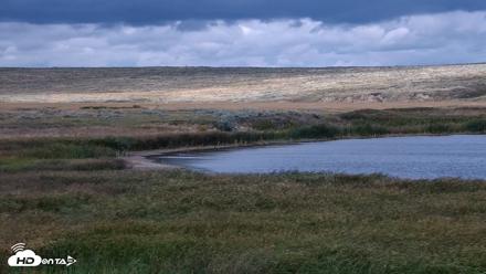 American Prairie Montana Bison Live Cam - Sep 8, 2026, 2:56pm MDT