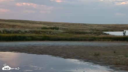 American Prairie Montana Bison Live Cam - Sep 13, 2026, 7:16pm MDT