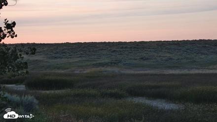 American Prairie Montana Bison Live Cam - Sep 11, 2026, 7:31pm MDT