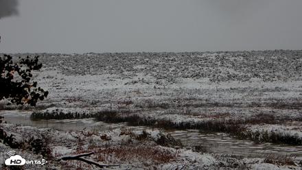 American Prairie Montana Bison Live Cam - Oct 12, 2026, 9:05am MDT