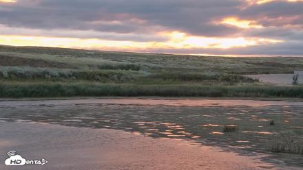 American Prairie Montana Bison Live Cam - Sep 8, 2026, 6:44am MDT