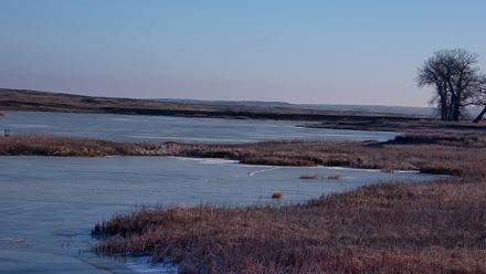American Prairie Montana Bison Live Cam - Jan 1, 2026, 10:09am MST
