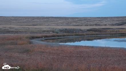 American Prairie Montana Bison Live Cam - Oct 19, 2026, 6:11pm MDT