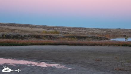 American Prairie Montana Bison Live Cam - Oct 15, 2026, 6:27pm MDT