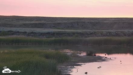 American Prairie Montana Bison Live Cam - Aug 20, 2026, 6:15am MDT